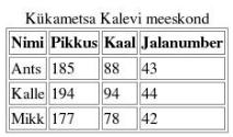 Näide - korvpallimeeskonna andmed